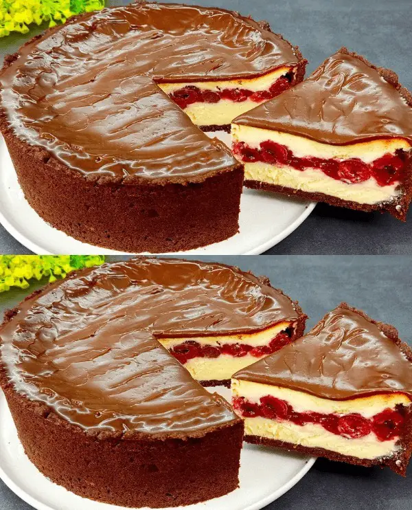 Cheesecake ricotta cioccolato