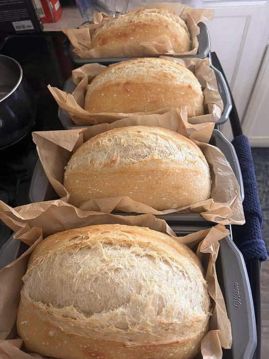 Pane per tramezzini morbido
