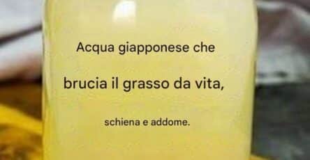 Acqua giapponese dimagrante