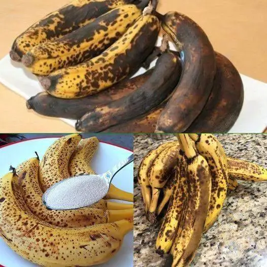 Biscotti di farina d'avena