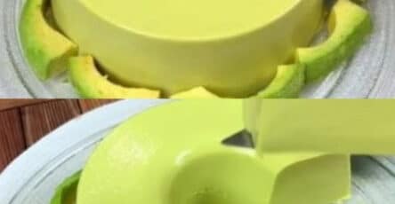 Budino all'avocado cremoso
