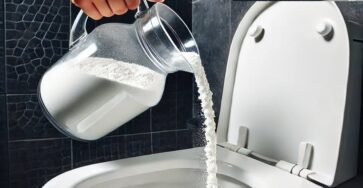 Calcare nel WC