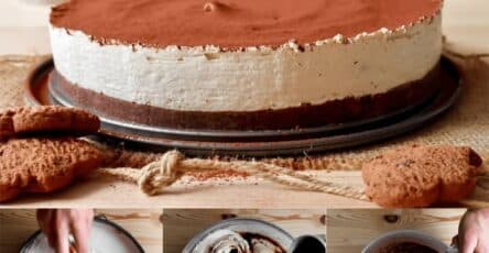 Cheesecake cremosa al caffè