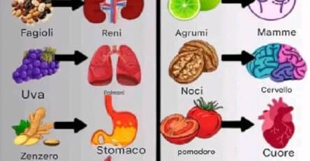 Cibo salutare che guarisce