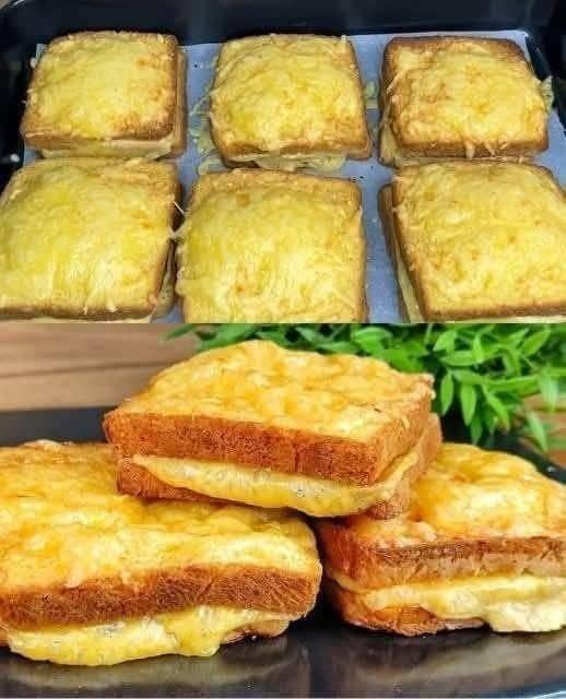 Deliziose ricette quotidiane