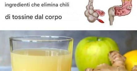 Detox del colon