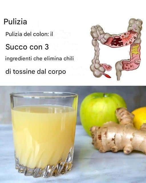 Detox del colon