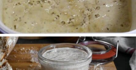 Lievito madre ricetta facile