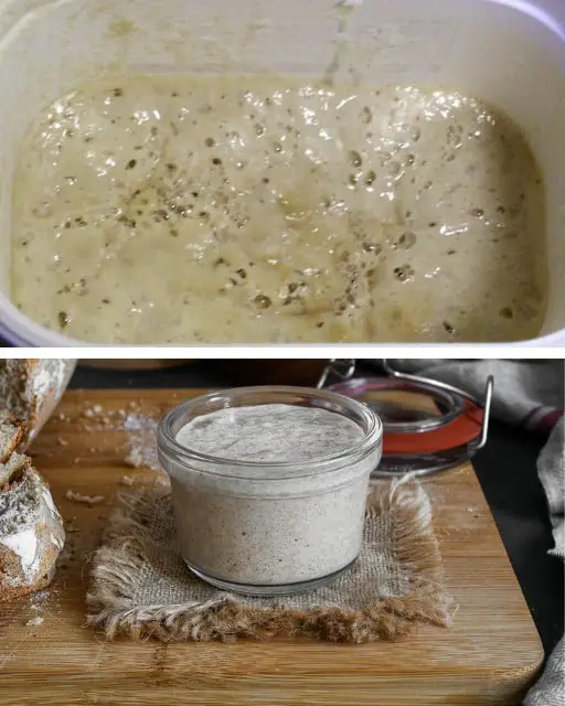 Lievito madre ricetta facile