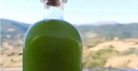Liquore di alloro