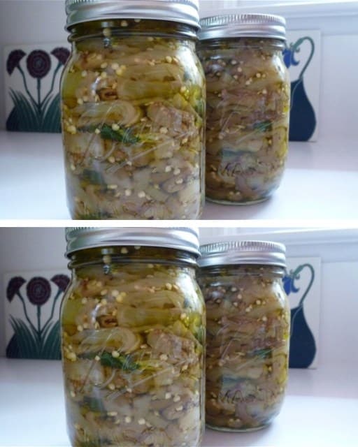 Melanzane in salamoia