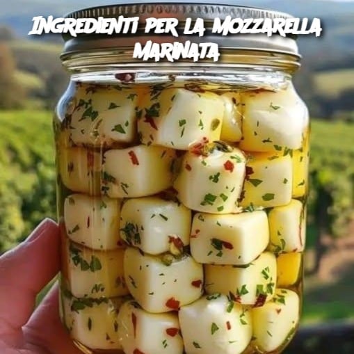 Mozzarella marinata fresca
