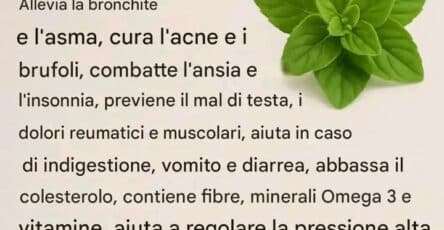 Olio di origano fatto in casa