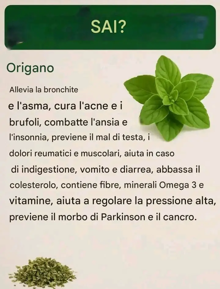 Olio di origano fatto in casa