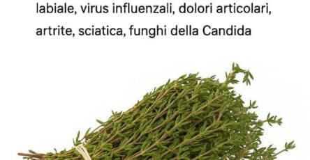 Piante potenti del mondo