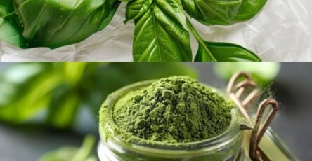 Polvere di basilico fatta in casa