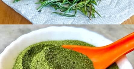 Polvere di rosmarino aromatica