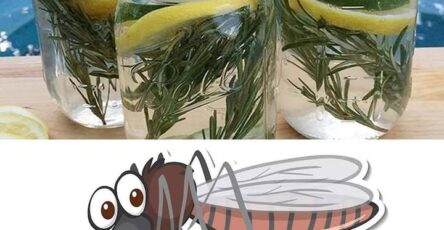 Repellente naturale efficace