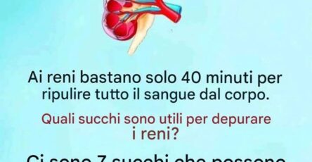 Ricetta passo passo