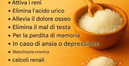 Torta al Cocco deliziosa