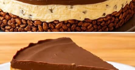 Torta fredda al cioccolato