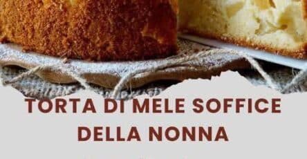 Torta mele soffice nonna