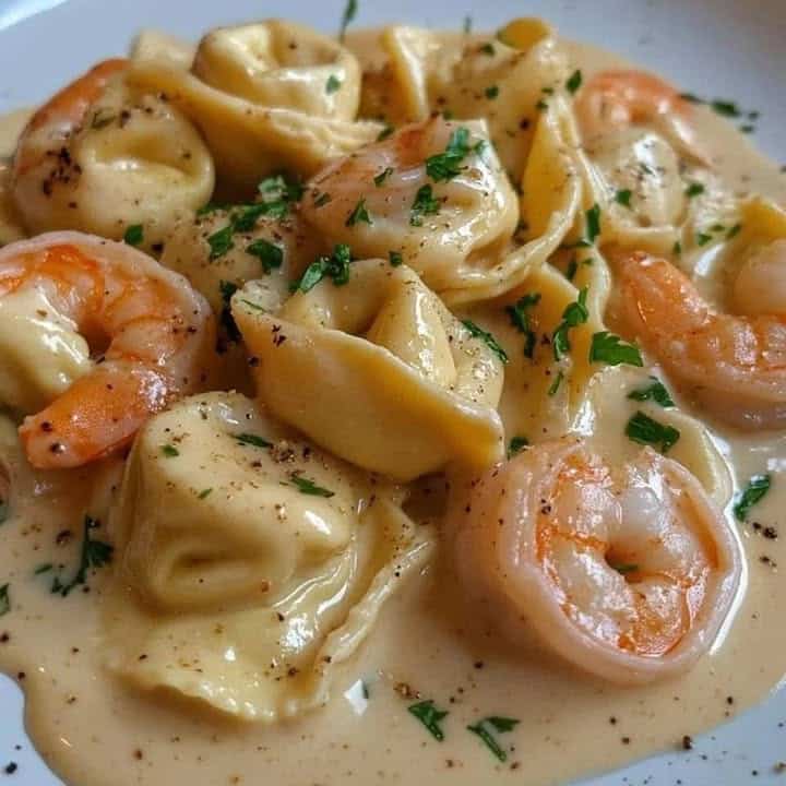 Tortellini al formaggio e gamberi