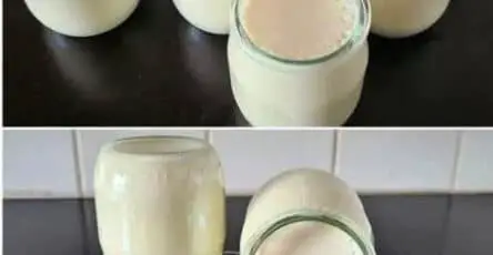 Yogurt fatto in casa