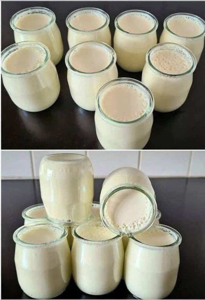 Yogurt fatto in casa