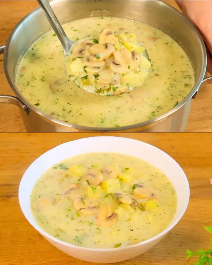 Zuppa cremosa di funghi
