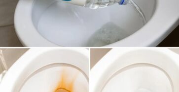 aceto bianco WC brillante