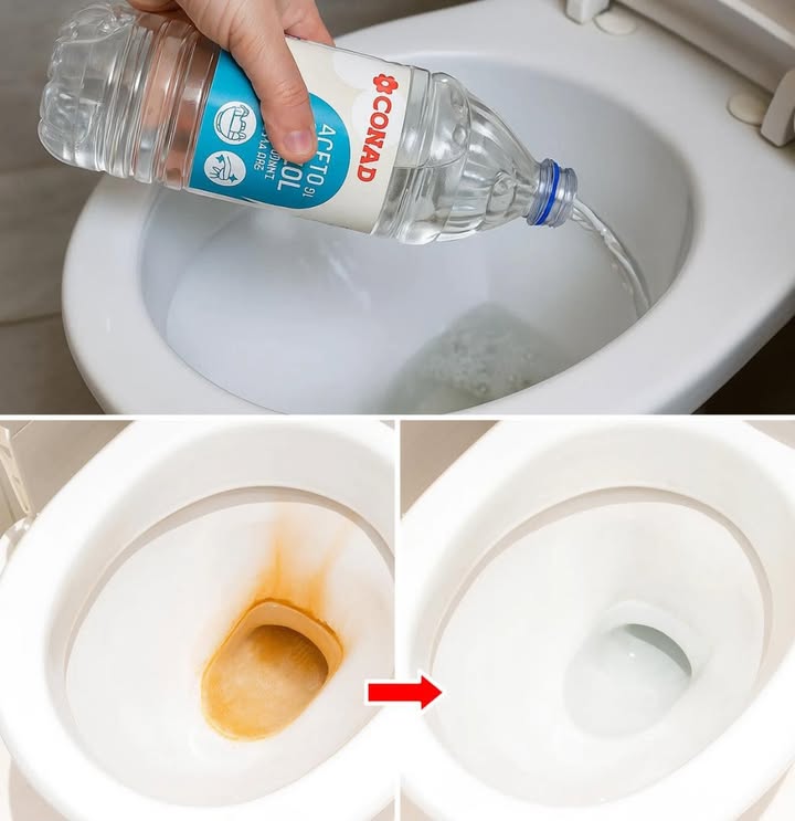 aceto bianco WC brillante