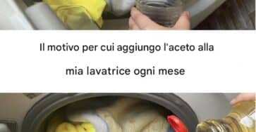 aceto nella lavatrice