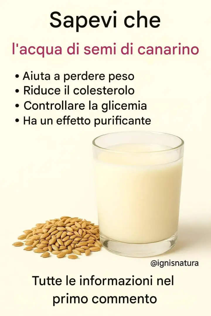 acqua di scagliola utilizzo