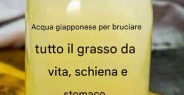 acqua giapponese grasso stomaco