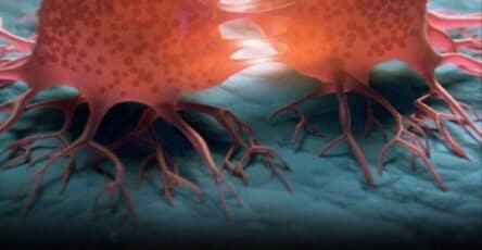 alimenti cancerogeni da evitare