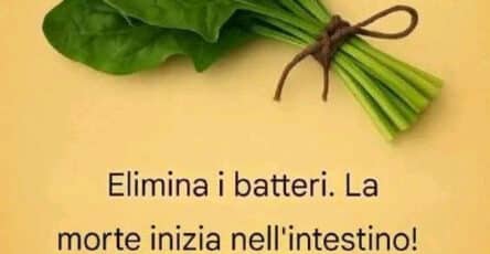alimenti per depurare corpo