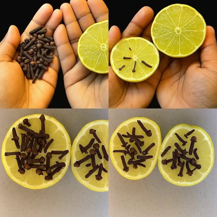 benefici limone chiodi garofano