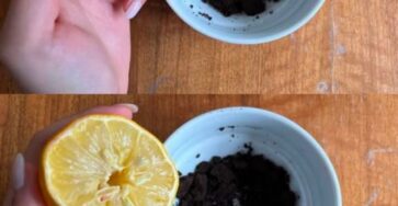 caffè limone combinazione potente