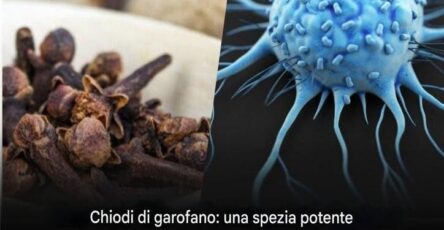 chiodi di garofano cancro