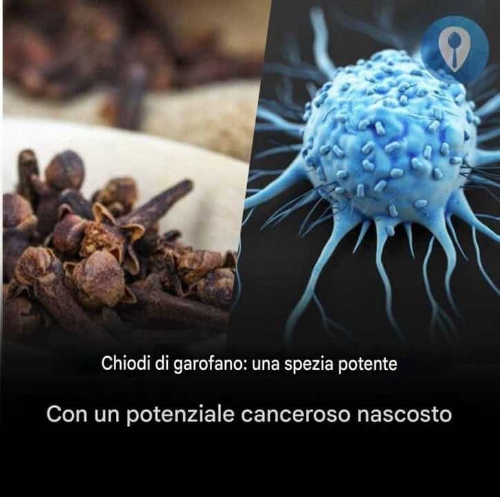 chiodi di garofano cancro
