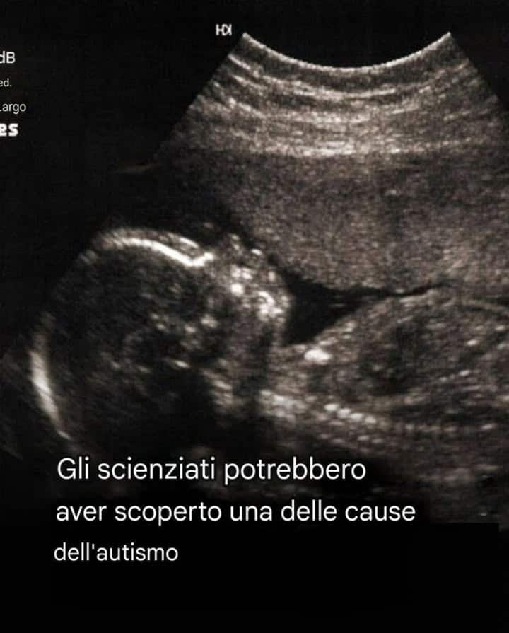 cibo facile e veloce