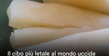 cibo sano e delizioso