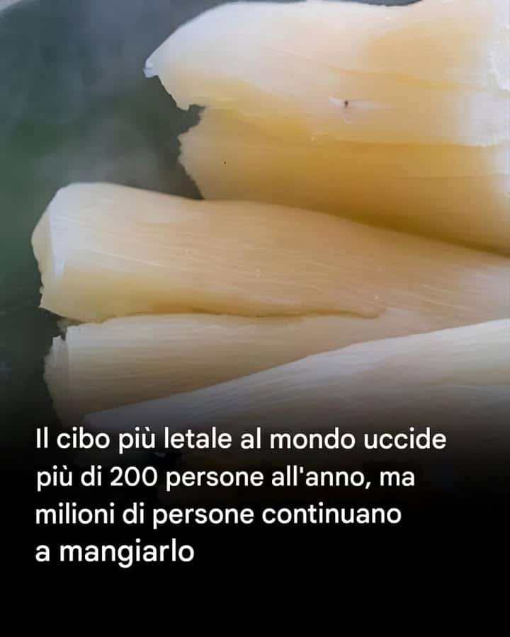 cibo sano e delizioso