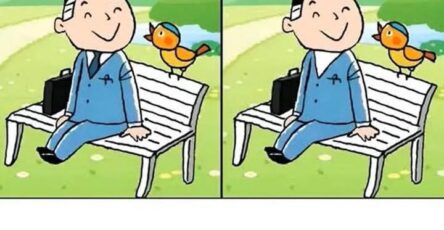 differenze persona rapido