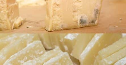 formaggio fresco senza muffa
