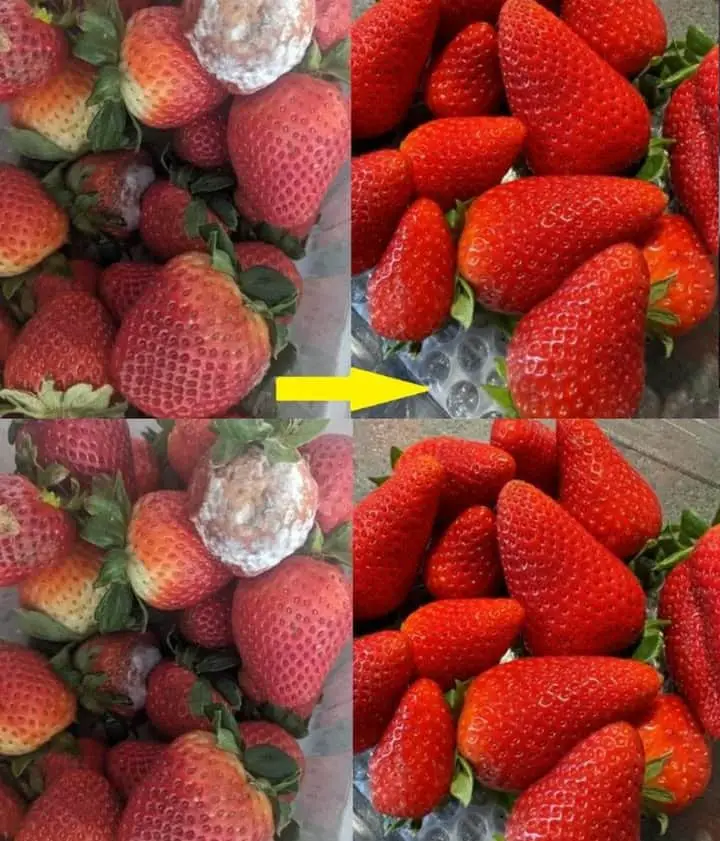 freschezza fragole trucco contadino