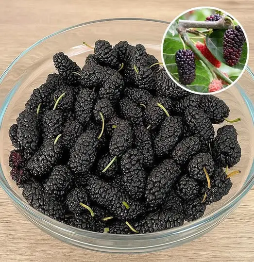 frutto raro dessert nonni