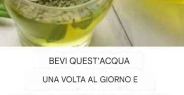 grasso addominale in pochi giorni