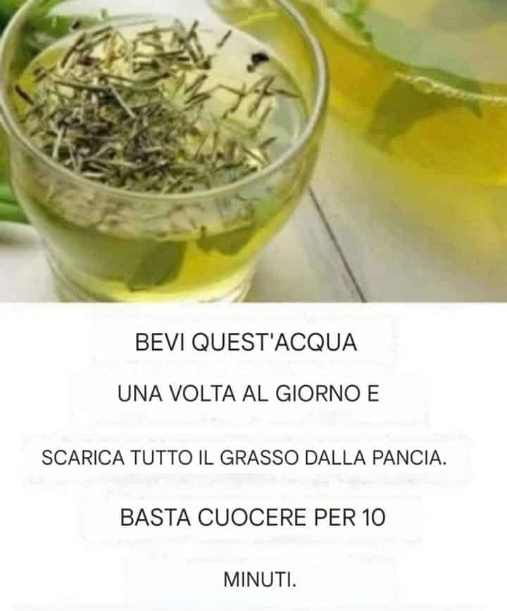 grasso addominale in pochi giorni
